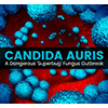 CandidaAuris