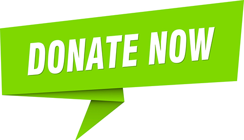 Donate Now 500 pixels