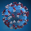 COVID 19 Virus