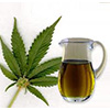 Hemp Oil