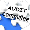 Audit Committee