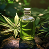 marijuana hemp oil