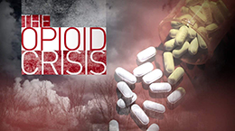 The Opioid Crisis