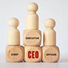 CEO Staffing Changes